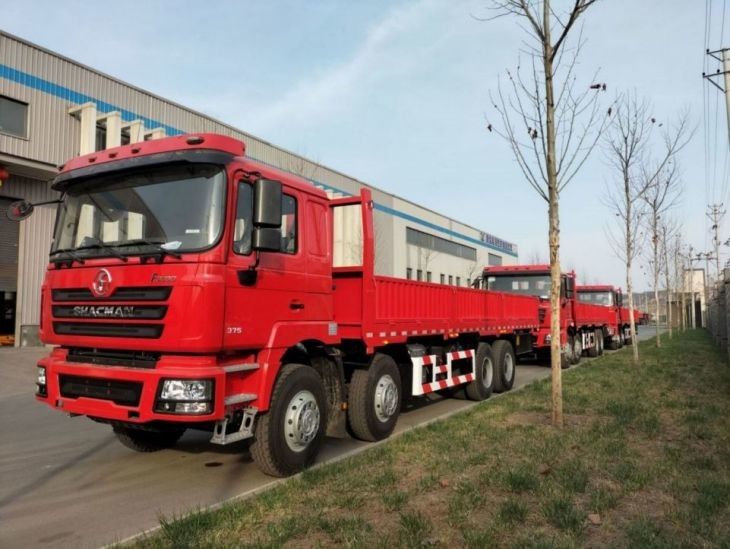 Serbatoio di carburante 400L camion camion SHACMAN F3000 8x4 camion 375Hp Neon Rosso