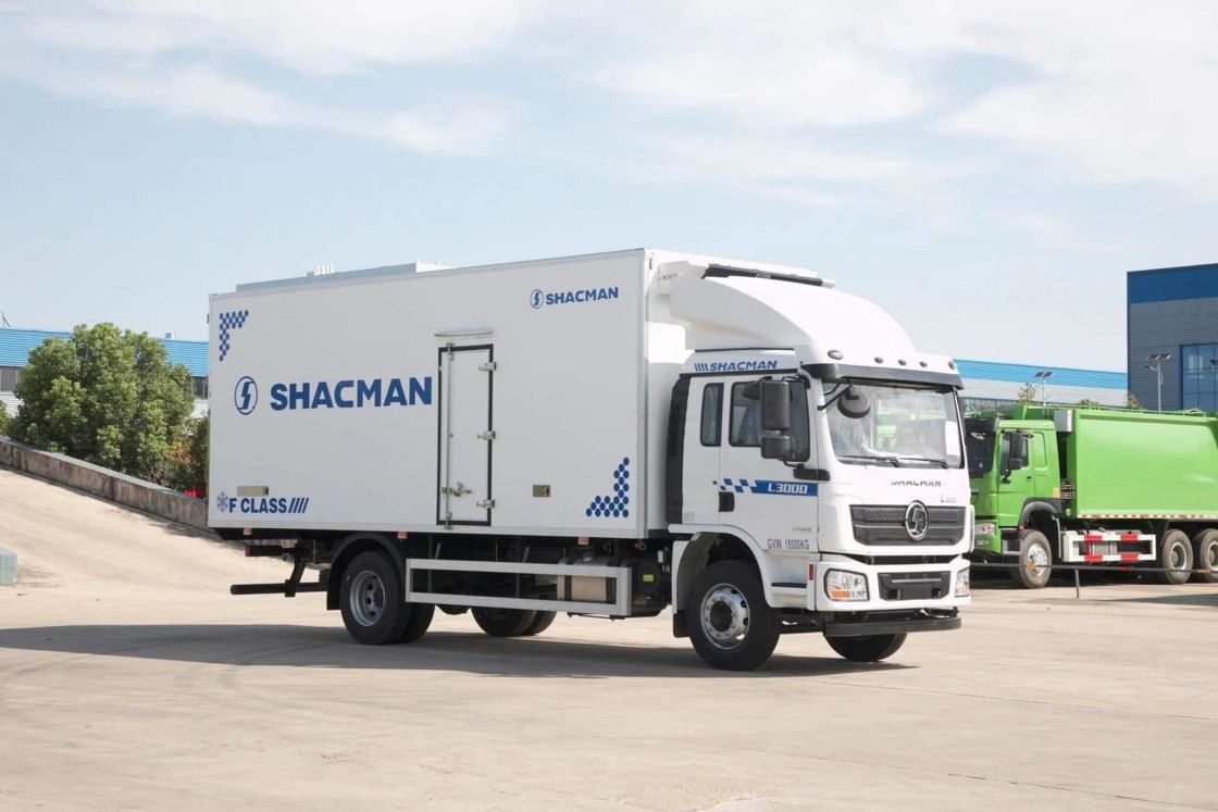SHACMAN L3000 Van Cargo Truck 4x2 340hp camion 290hp Euro II Bianco 6 ruote Cargo Truck