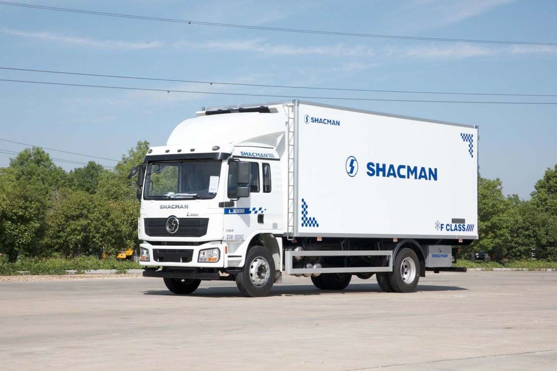 SHACMAN L3000 Van Cargo Truck 4x2 340hp camion 290hp Euro II Bianco 6 ruote Cargo Truck